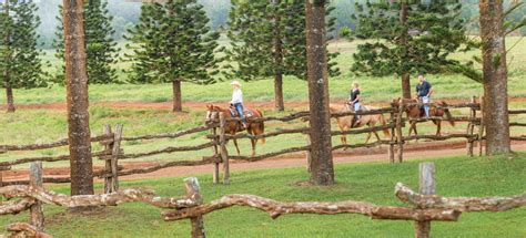 Four Seasons Resort Lanai The Lodge At Koele Hawaii Hawaii Usa