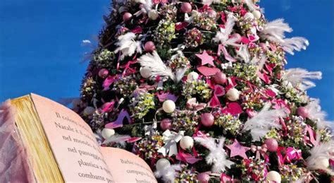 A Terrasini L Albero Di Natale In Rosa A Sostegno Delle Donne Vittime