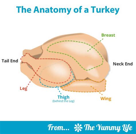 Step By Step Guide To The Best Roast Turkey