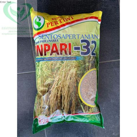 Jual Benih Padi Unggul Inpari Kemasan Kg Dari Benih Pertiwi