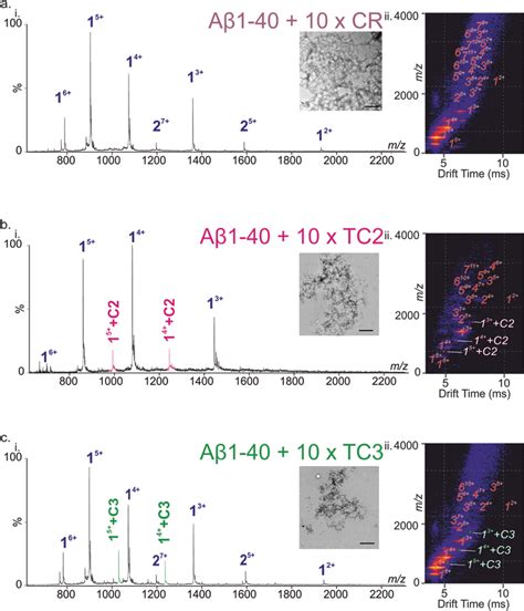 Inhibition Screening Of The A Amyloid Assembly By Cr Tc And Tc