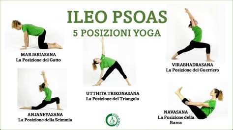 Psoas Il Muscolo Dellanima Yoga Planet