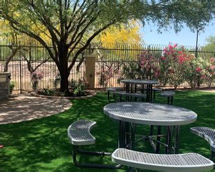 Country Inn & Suites by Radisson | Best Hotel in Tucson City, AZ