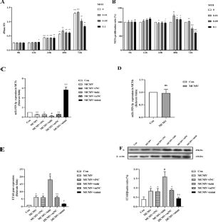 Low Expression Of Mir P Mediates Murine Cytomegalovirus Induced