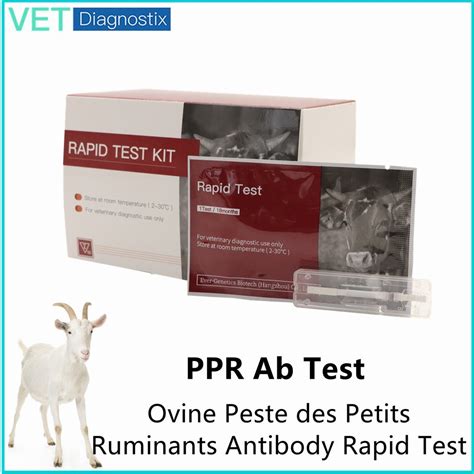 Veterinary Rapid Test Ppt Ab Test Ovine Peste Des Petits Ruminant