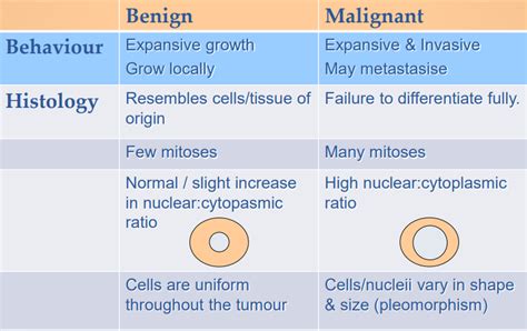 Benign Vs Malignant Cells