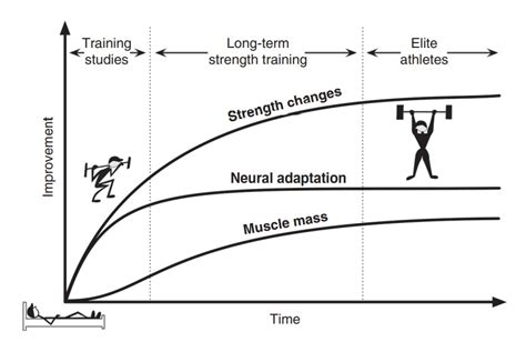 Adaptação ao exercício físico