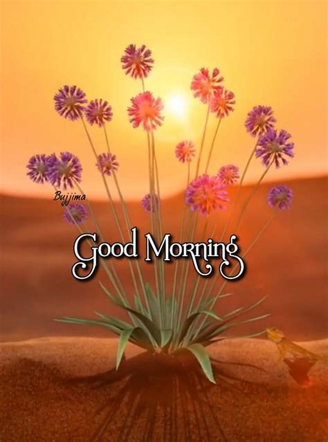 35+ Good Morning Beautiful Flowers Images - Desi Comments