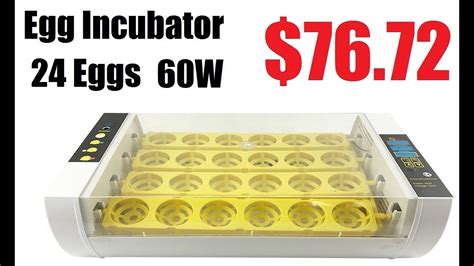 Fully Automatic Eggs Incubator 24 Eggs Best Incubator Review 2020 YouTube