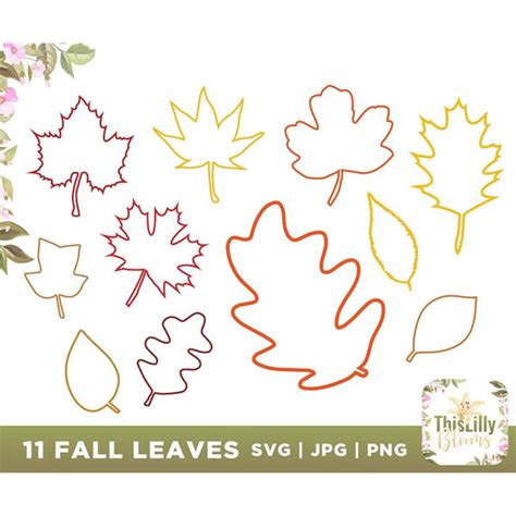 Fall Leaves Svg Fall Leaf Svg Bundle Fall Outline Svg Fal Inspire Uplift