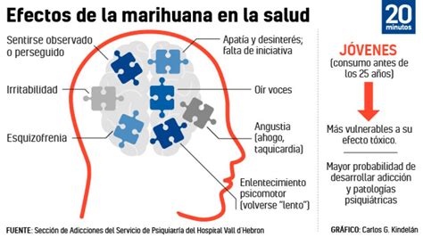 La Comunidad De Madrid Alerta Del Efecto Del Cannabis En La Salud