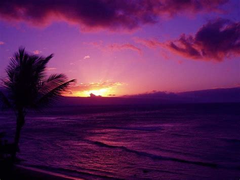 Hawaii purple sunset | Purple sunset, Sunset, Landscape pictures