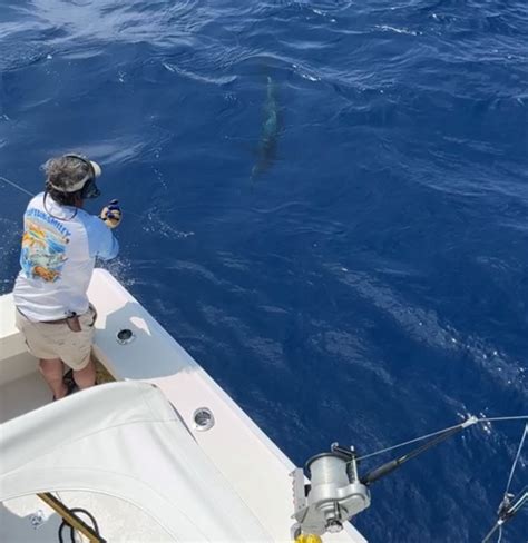 Shark Fishing Myrtle Beach Captain Smiley Fishing Charters