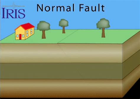 Seismic Waves Animation