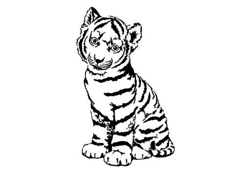 Tiger Cubs Coloring Pages