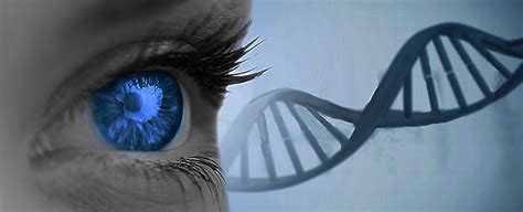 Predict Human Appearance From DNA Focusing On Pigmentation Forensic