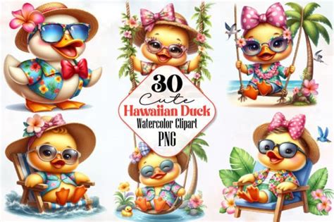 Cute Ducks Clipart Hawaiian Clipart Png Graphic By Robertsart