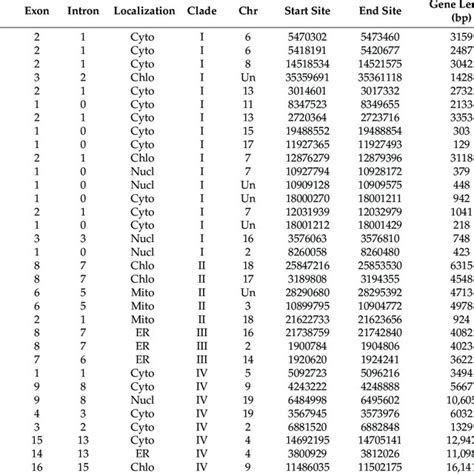 Expression Analysis Of Vvhsp Genes In Different Tissues And