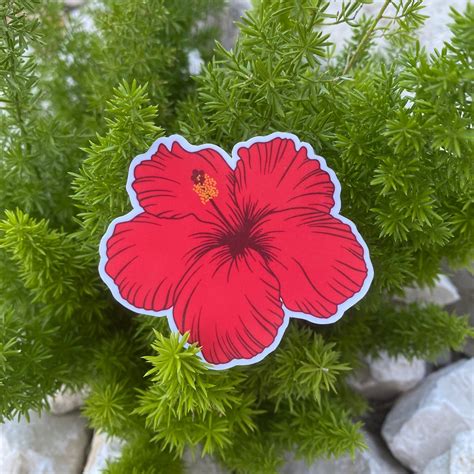 Flor De Maga Sticker Amapola Sticker Puerto Rico Sticker Etsy