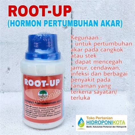 Pupuk Akar ROOT UP 100 Gram Hormon Pertumbuhan Akar Hormon Akar