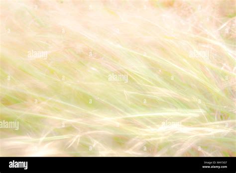 Bright Nature Background Stock Photo - Alamy