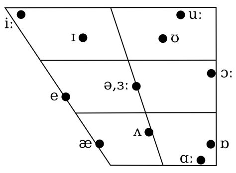 Phonology Representing Consonants And Vocal Graphically Linguistics Hot Sex Picture