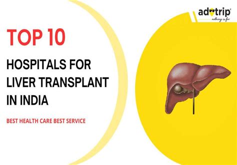 Beste Krankenhäuser für Lebertransplantationen in Indien Top 10