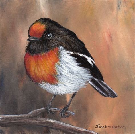 Red Capped Robin By Janet Graham Paintings For Sale Bluethumb