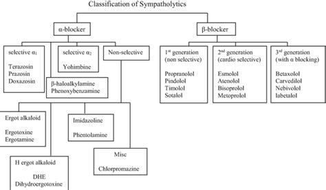 drugs acting  autonomic nervous system springerlink