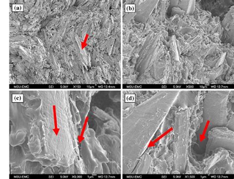 Sem Fracture Surface Micrographs Of C Wf Chcl Pp