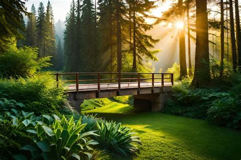 Un puente en un bosque con el sol brillando a través de los árboles