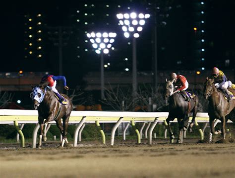 地方競馬の楽しみ方｜地方競馬のあらまし｜もっと！地方競馬｜地方競馬情報サイト