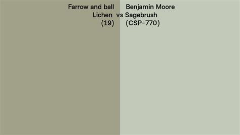 Farrow And Ball Lichen 19 Vs Benjamin Moore Sagebrush CSP 770 Side