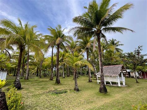 Beach Front Property Located In Brgy Agojo San Andres Catanduanes