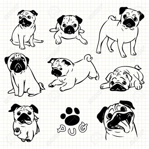 Dibujos De Perros Pug Para Colorear Vsun