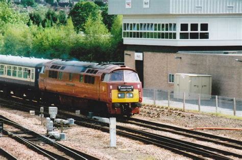 D1015ei D1015 WESTERN CHAMPION At Perth Paul Martin Flickr