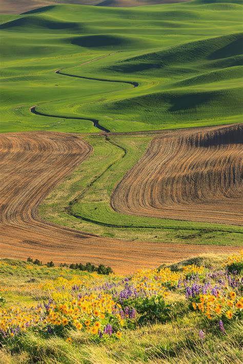 Steptoe Butte and the Palouse - Matthew Singer