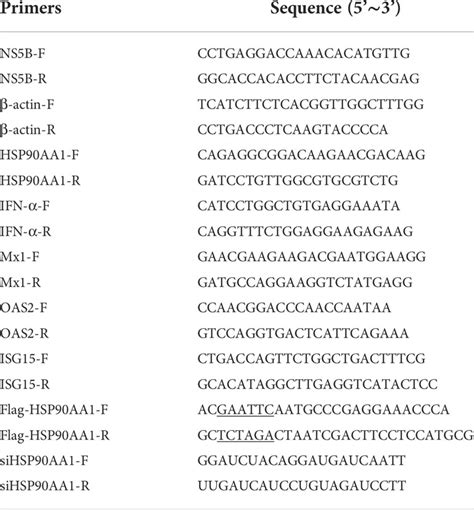 Frontiers HSP90AA1 Interacts With CSFV NS5A Protein And Regulates