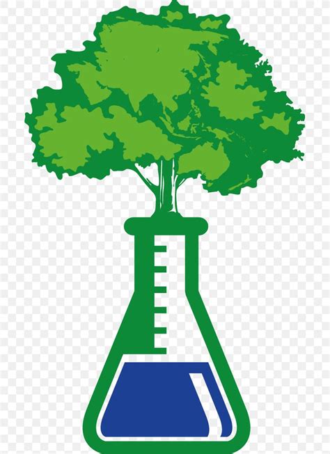 Green Chemistry Environmental Chemistry Science Png 697x1128px Green