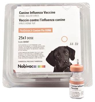 Does My Dog Need Canine Influenza Vaccine