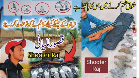 Zalim Shooter Raj 4 Pigeons Shoot 2 Kabooter Save Come Back Home