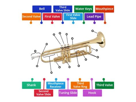 Trumpet Diagram - Labelled diagram