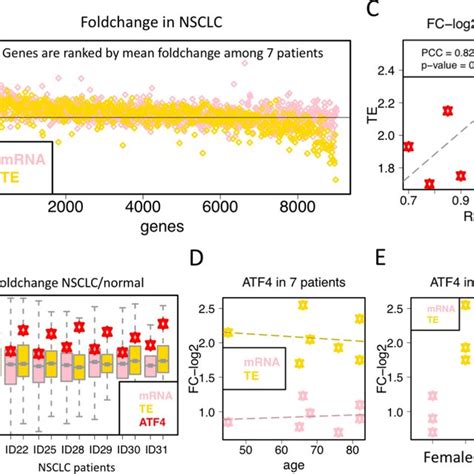 The translational changes on uORF and CDS of ATF4 upon nutrient ...