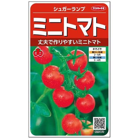 ミニトマト 種 『シュガーランプ』 サカタのタネ小袋（粒数目安100粒） Skt 033 1 種兵ネットショッピング 通販