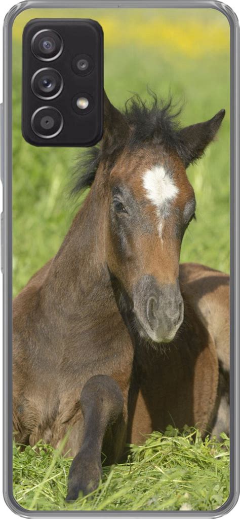 Samsung Galaxy A G Hoesje Paarden Licht Gras Siliconen