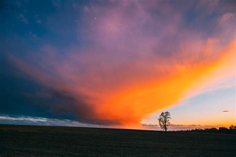 Time Lapse Time-lapse Timelapse Of Lonely Tree Growing In Spring ...