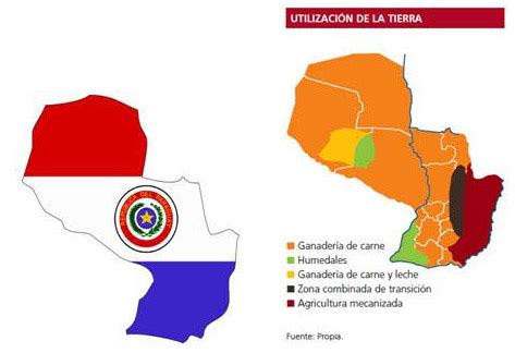 Expansão Latina Packblend no Paraguai Energis 8 Brasil