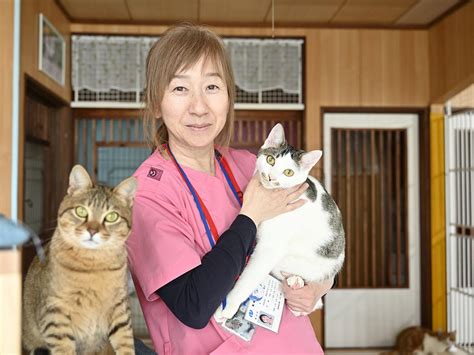 長崎・香焼町に譲渡型保護猫シェルター 愛護団体がcfで得た資金で開設 長崎経済新聞