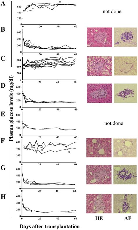 V Nkt Cells Are Responsible For The Early Loss Of Syngeneic Islet