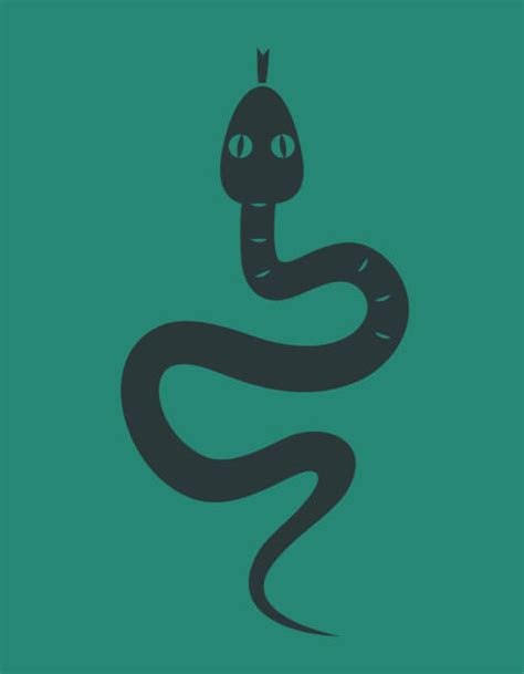 110+ Snake Top View Illustrations, Royalty-Free Vector Graphics & Clip ...